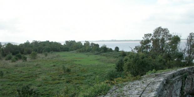 Les friches de l'île s'étendent au pied du Fort Paté 