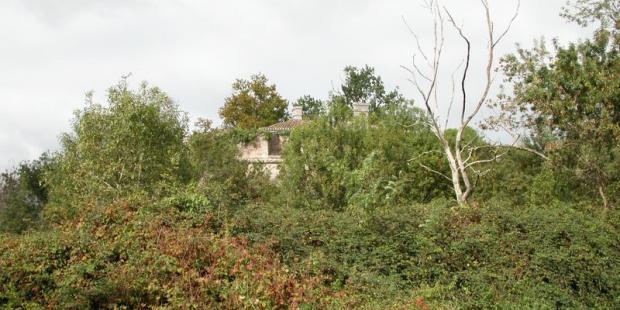 Le développement de la végétation occulte le fort - Île Paté 