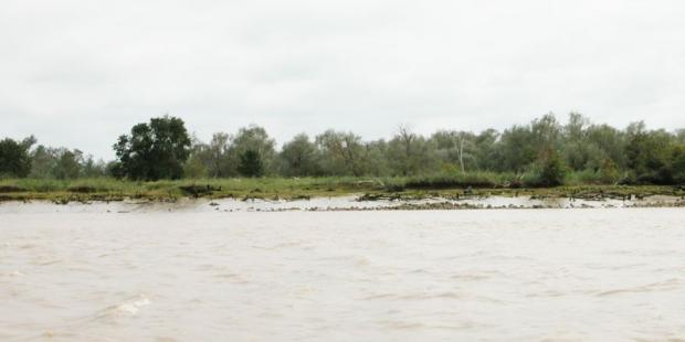 La surface de l'Île Nouvelle se réduit progressivement sur sa rive droite 
