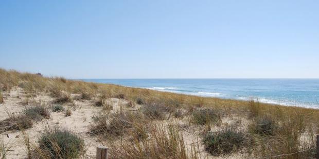 Les dunes plantées d'oyats surplombent la plage tout au long de la côte, Lacanau
