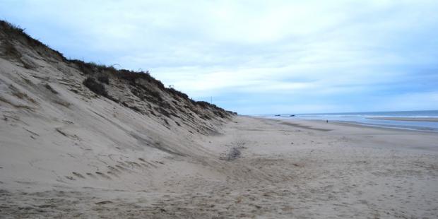 Les dunes sont soumises à une érosion importante sur cette partie du littoral - Soulac-sur-Mer 