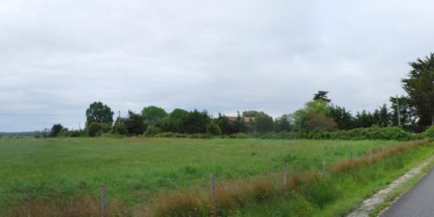 Prairie menacée par l'urbanisation linéaire - Soulac-sur-Mer