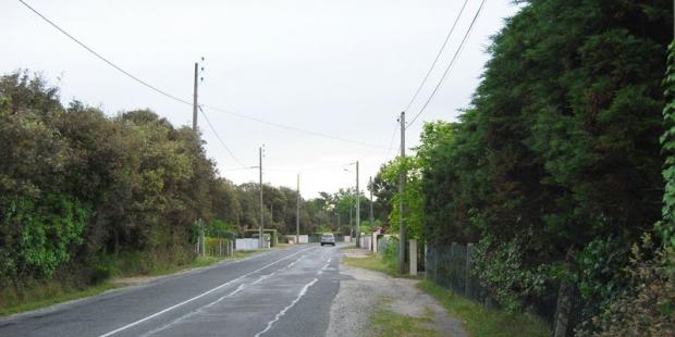 Les jardins densément plantés au bord de la D1 recréent une ambiance de route-tunnel boisée - Le-Verdon-sur-Mer