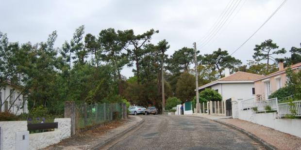 La ville et la forêt se côtoient directement, formant une longue lisière urbanisée entre dunes et marais - Le-Verdon-sur-Mer 