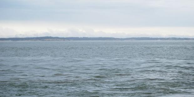 Vue sur les rivages charentais depuis la pointe du Verdon 