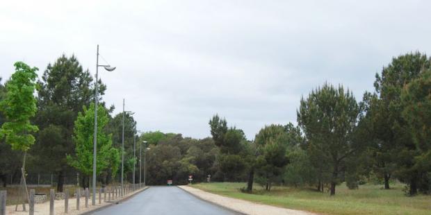 Au niveau de Port-Médoc, la forêt et sa lisière feuillue s'avancent presque jusqu'à la mer - Le-Verdon-sur-Mer 