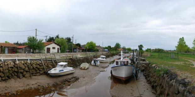 Par les chenaux, l'estuaire s'immisce à l'intérieur des terres - Saint-Vivien-de-Médoc 