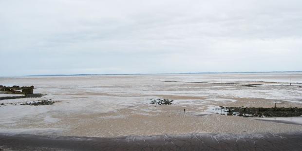 Le reflux dégage d'amples vasières, à l'interface de la terre et des eaux - Saint-Vivien-de-Médoc