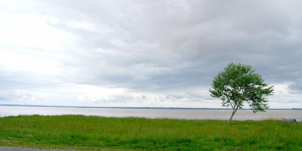Les prémices des coteaux charentais dessinent un mince et sombre horizon, surplombant les digues presque invisibles du marais de Braud-et-Saint-Louis - Vue depuis Saint-Estèphe