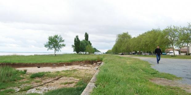Les alignements accompagnant les routes sur les berges composent les paysages de l'estuaire - Saint-Estèphe 