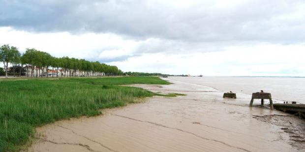 Douceur de la transition du bâti à l'estuaire : berges enherbées et vasière - Pauillac