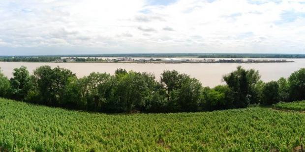 Rencontre de la Garonne et de la Dordogne et naissance de l'estuaire au Bec d'Ambès - Saint-Seurin-de-Bourg 