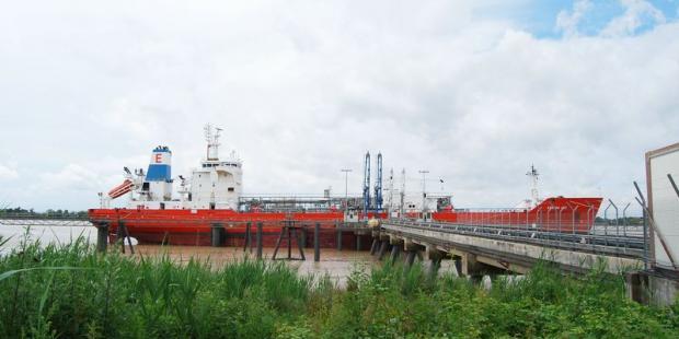 Les gros porteurs amarrés aux pontons de chargement participent du paysage de l'estuaire