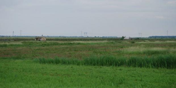 Bien que peu marqués, les légers rebords qui cernent le marais à l'est sont nettement visibles à l'horizon - Braud-et-Saint-Louis 
