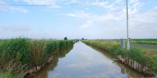 Le canal des Callonges est un des chenaux principaux du marais, colonne vertébrale du réseau hydraulique - Saint-Ciers-sur-Gironde 
