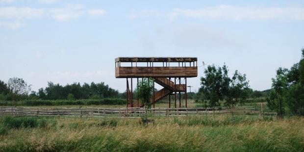 Le parc ornithologique des Callonges met en valeur le riche patrimoine naturel des marais estuariens - Saint-Ciers-sur-Gironde