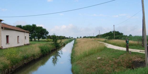De nombreux fossés sillonnent les marais afin d'en drainer les eaux - Saint-Ciers-sur-Gironde 