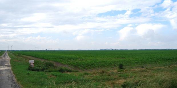 Simplification du paysage par la monoculture - Saint-Ciers-sur-Gironde