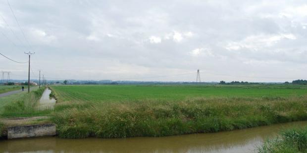 Le réseau s'organise en mailles orthogonales - Saint-Ciers-sur-Gironde