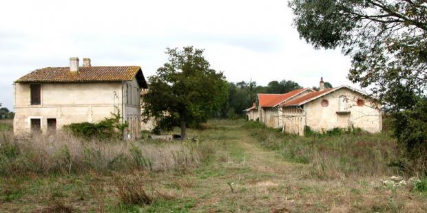 Le village de l'Île sans Pain, sur l'Île Nouvelle 
