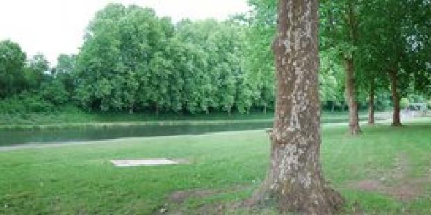 La qualité des berges du canal tient en grande partie à la présence des alignements d'arbres - Castets-en-Dorthe 