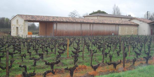 Extension de chai viticole mariant les matériaux bois et calcaire - Pomerol