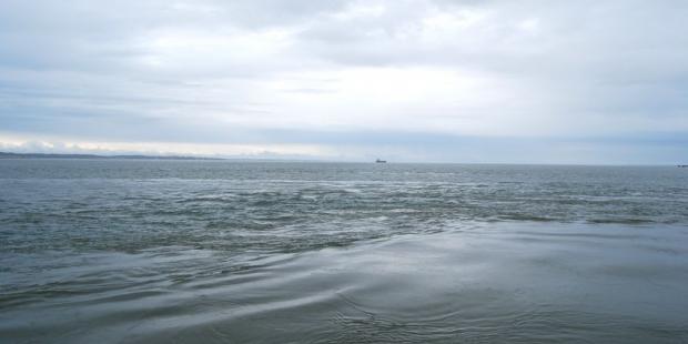 Vers l'océan, l'horizon est presque toujours habité de silhouettes navales, Le Verdon-sur-Mer