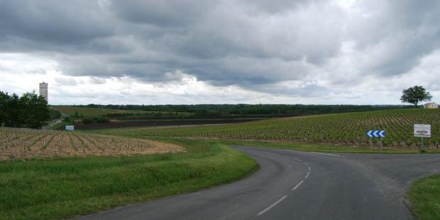 La vigne se cantonne aux coteaux, les terres basses des vallons étant trop humides - Saint-Seurin-de-Cadourne