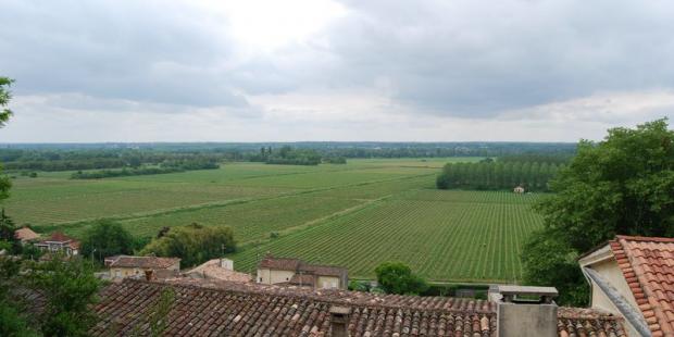 La viticulture dans la vallée nécessite le creusement de canaux de drainage, qui dessinent ici le paysage - Langoiran