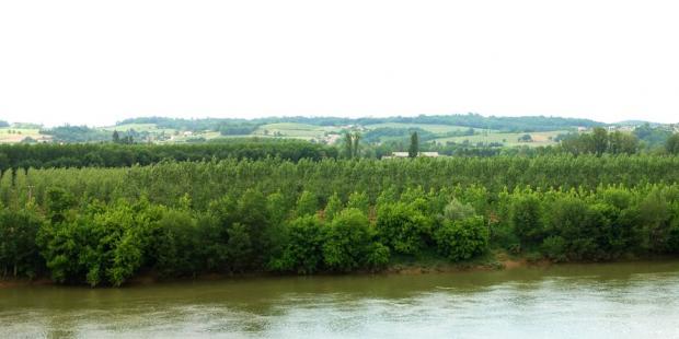 Depuis la rive gauche de la Garonne, le coteau opposé s'élève par-delà la plaine alluviale, Castets-en-Dorthe