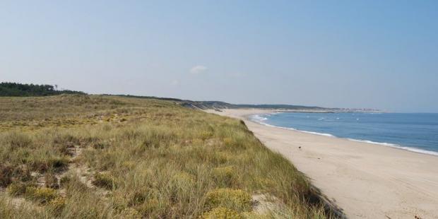 Formation végétale de la dune littorale, à oyat et hélianthème
