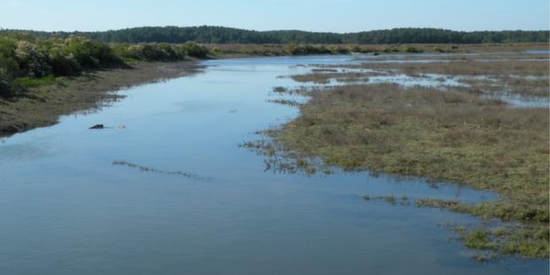 Atlas des paysages - Arès