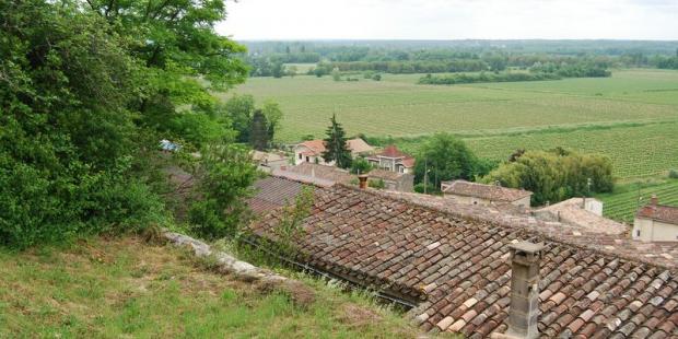 Le hameau ’le Pied du Château’ se loge entre la falaise et les vignes - Langoiran
