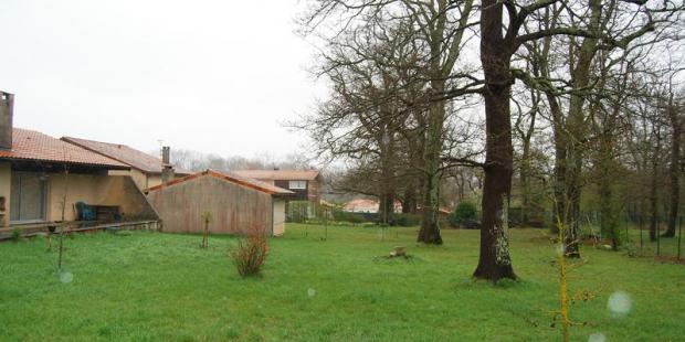 Au sein des jardins privés, les arbres existants ont été préservés, Artigues-près-Bordeaux