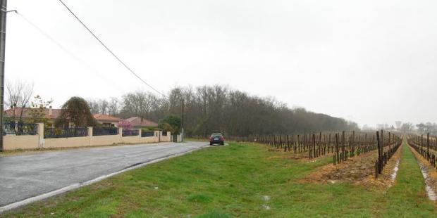 Pauvreté du traitement de l'espace à la rencontre entre ville et vigne, Artigues-près-Bordeaux 