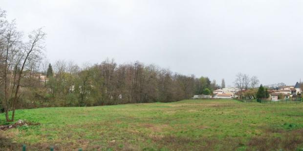 Vallon humide menacé par l'urbanisation, Artigues-près-Bordeaux 