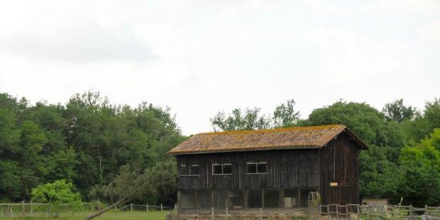 Séchoir à tabac à l'ouest d'Auros 