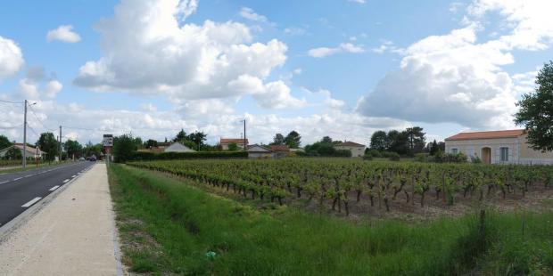 Au nord de Parempuyre, la vigne s'étend jusqu'à l'entrée dans l'agglomération 