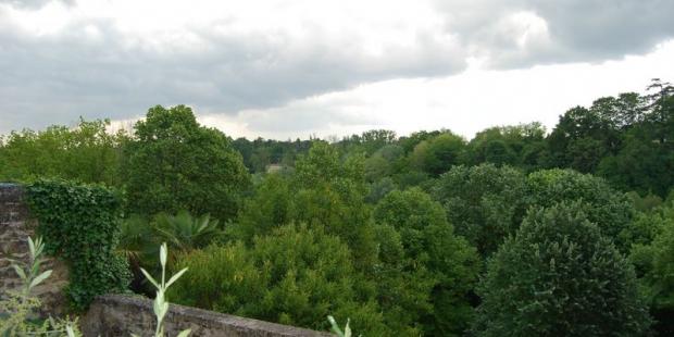 Depuis les terrasses de Bazas, le vallon au sud apparait très boisé 