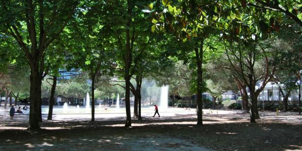 L'esplanade plantée de pins, conçue par Jacques Sgard, offre un espace public agréable 