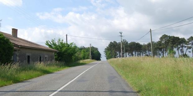 La pinède renforce la ligne de crête - Aillas 