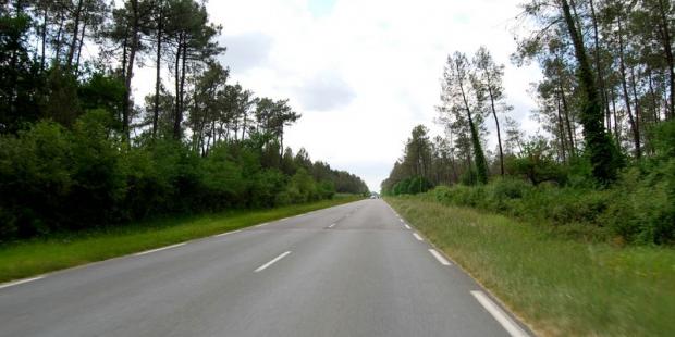 Le tracé rectiligne des routes dessine de longues trouées dans les arbres - Captieux 