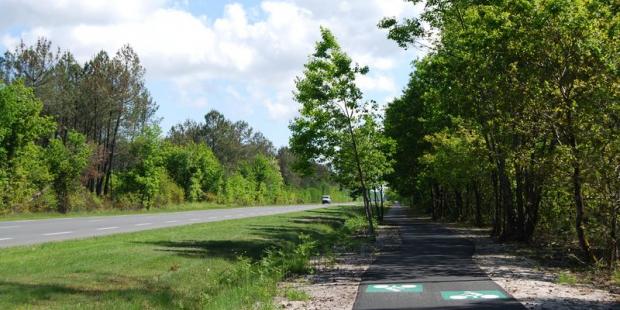 Les pistes cyclables en lisière, bénéficiant du couvert des arbres tout en étant séparées de la route - Marcheprime