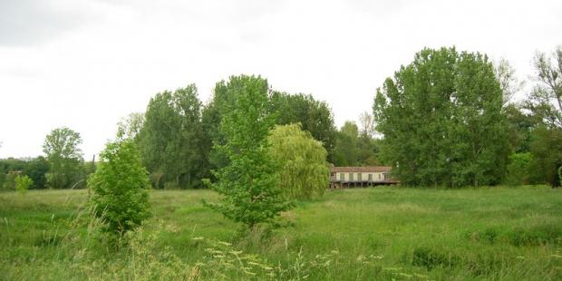 Ancien moulin isolé parmi les boisements dans le vallon de la Beuve - Bieujac 