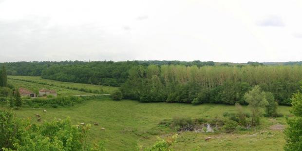 Vallon pâturé et boisé à Mazères 
