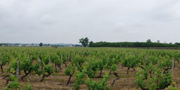 La proximité des zones d’activités, à gauche, dévalorise le paysage du domaine viticole, à droite - Beautiran