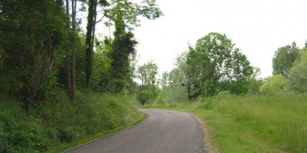 La route descend dans le vallon, les boisements soulignent la topographie - Bieujac 