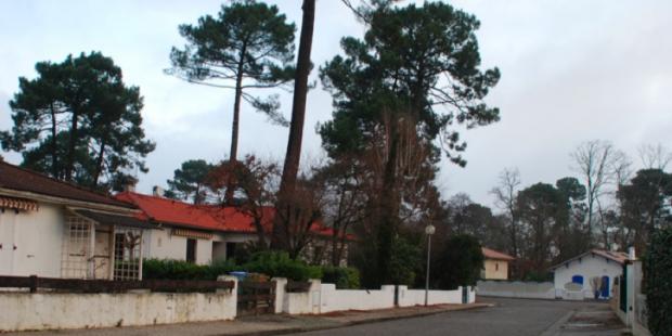 Atlas des paysages - La Teste