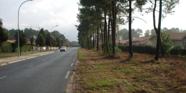 Atlas des paysages - Le Teich