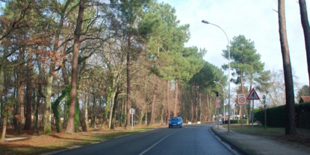 Atlas des paysages - Gujan-Mestras